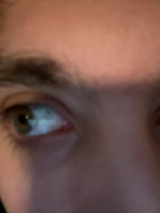 Annonce travesti Jul le sang Besse