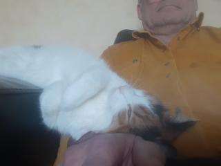 Annonce travesti Matures Ableiges