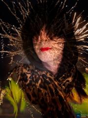 Annonce travesti Carole39 Lons-le-Saunier