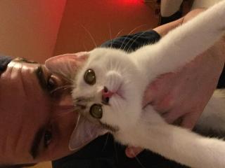 Annonce travesti Quechua Besançon