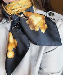 Annonce travesti DianeFoulard Paris